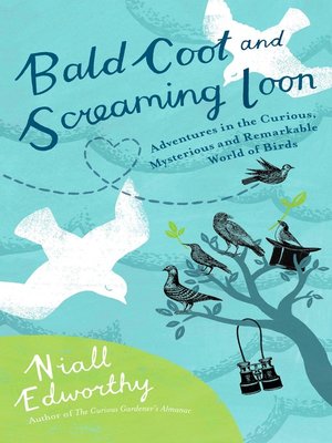 Bald Coot and Screaming Loon - ebook